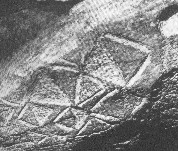 sieben