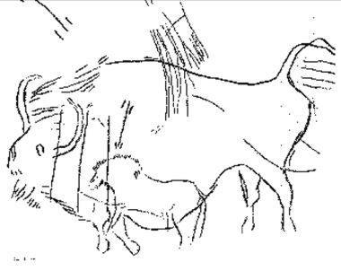 bison, Niaux
