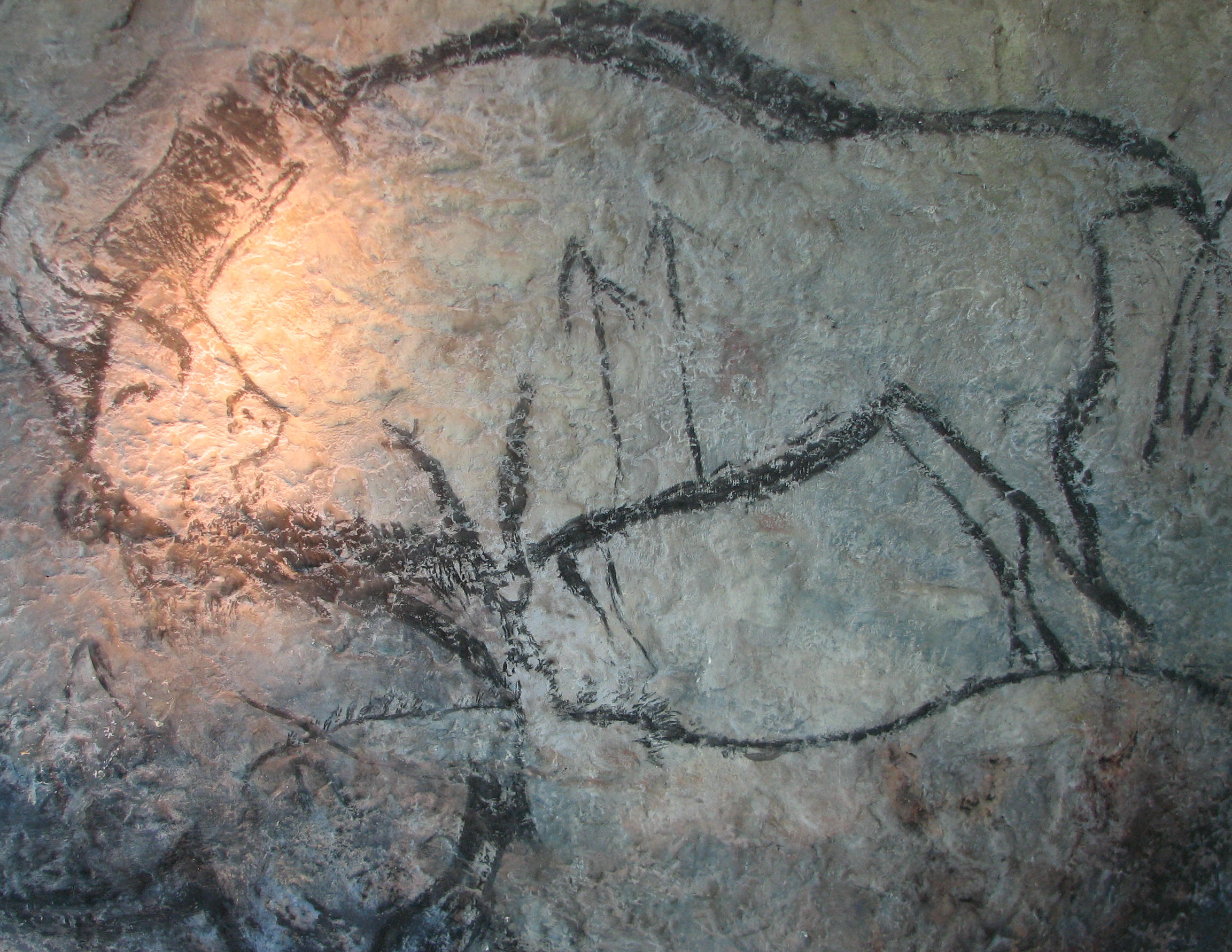 Bison, Niaux